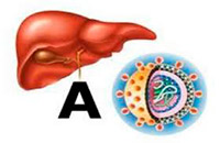 Как защитить себя от вирусного гепатит А