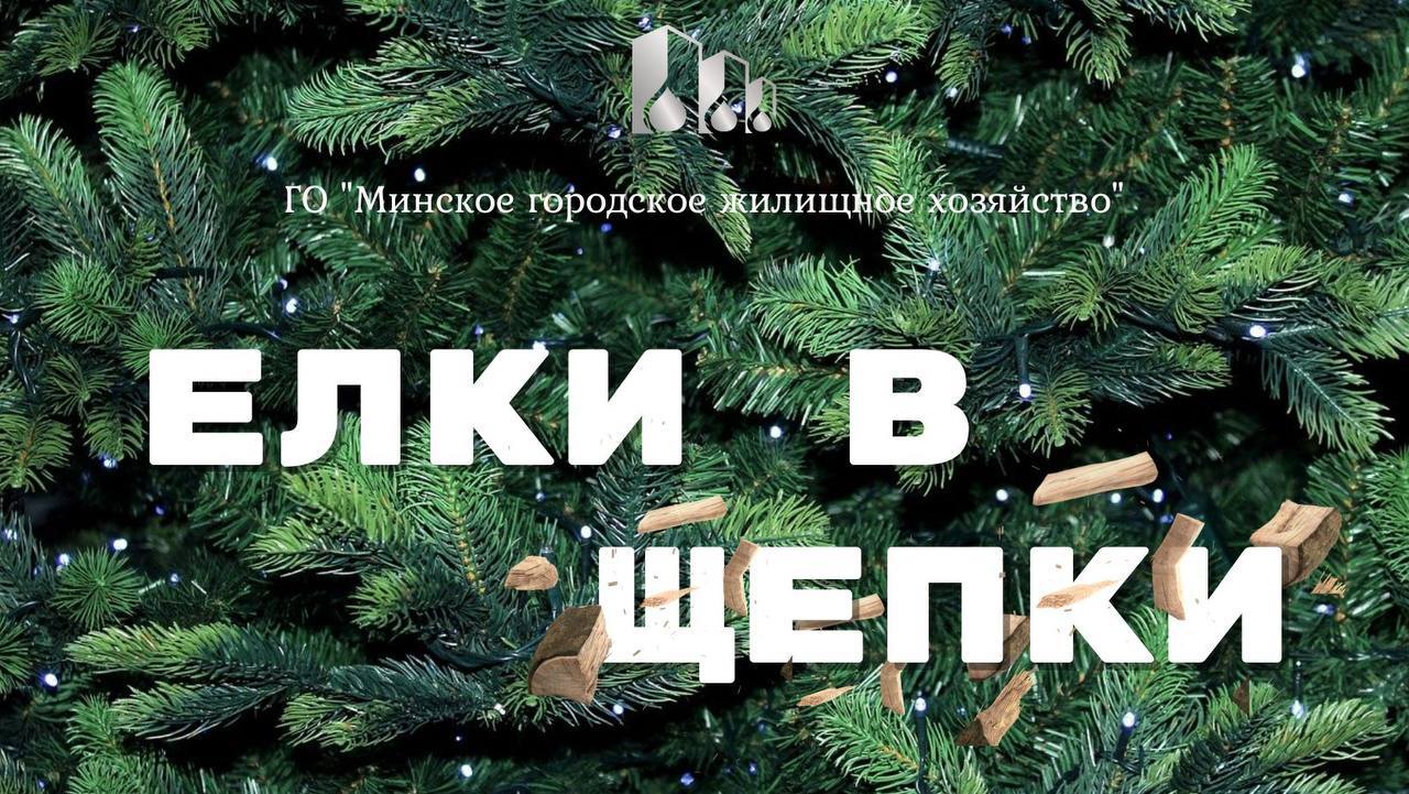 В Минске стартует акция «Елки в щепки»!