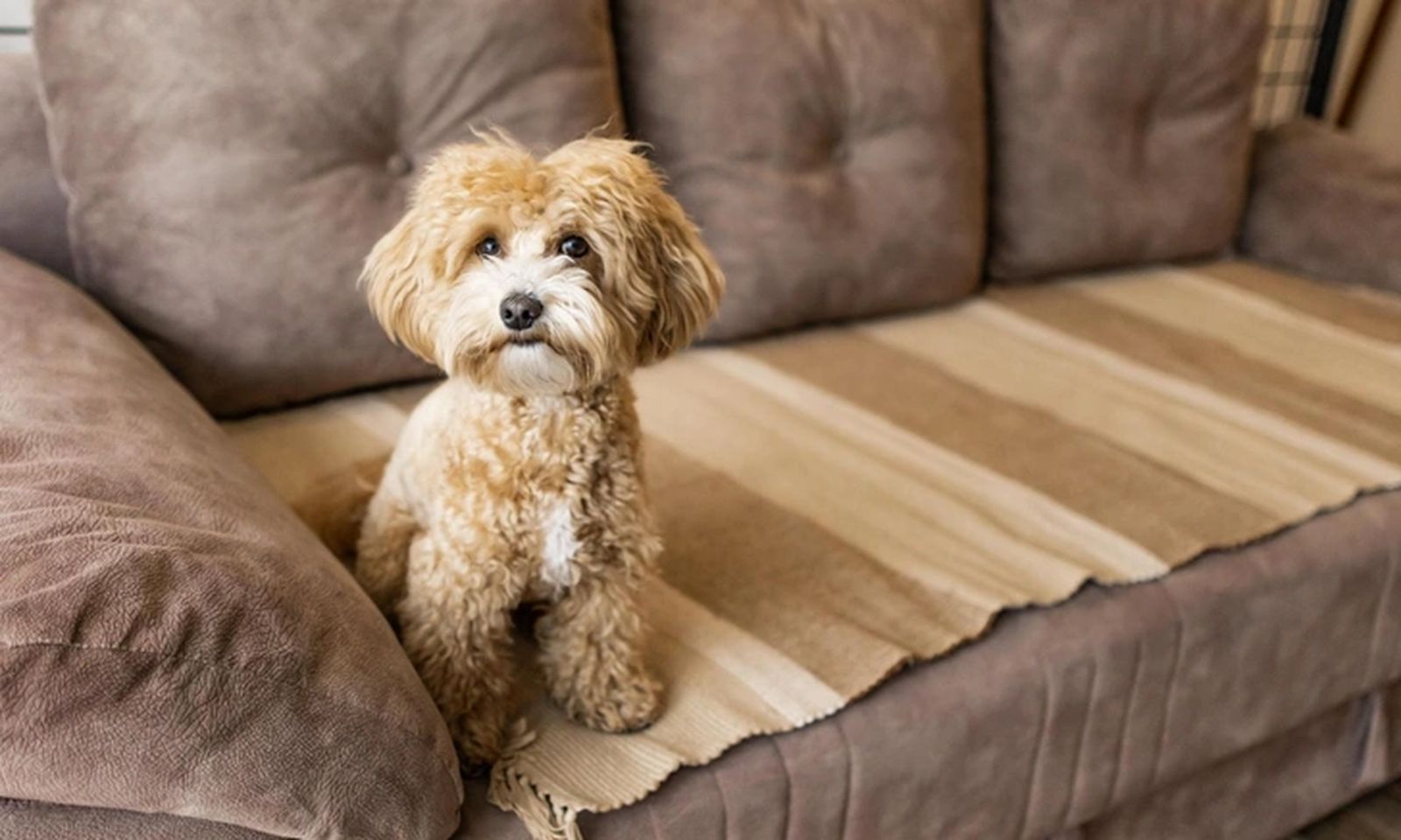 Служба «Одно окно» информирует!