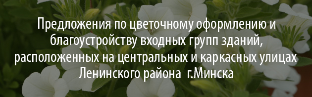 Предложения по цветочному оформлению и благоустройству входных групп зданий, расположенных на центральных и каркасных улицах Ленинского района  г.Минска