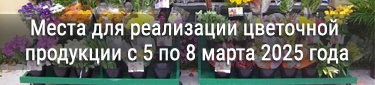 Места для реализации цветочной продукции с 5 по 8 марта 2025 года