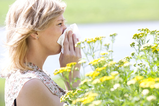 Как справится с симптомами весенней аллергии